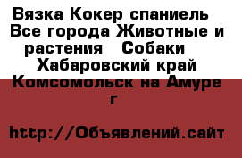 Вязка Кокер спаниель - Все города Животные и растения » Собаки   . Хабаровский край,Комсомольск-на-Амуре г.